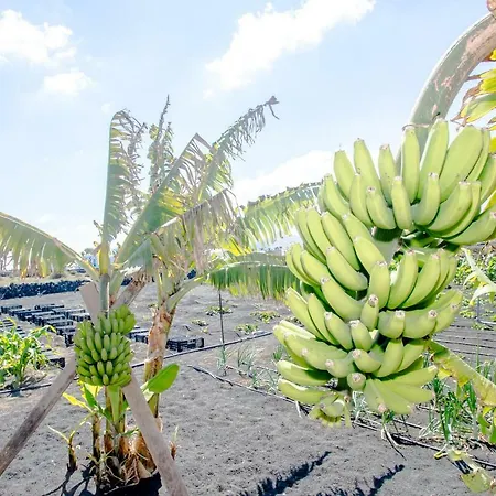 Lantställe Casa Veroles Lanzarote *